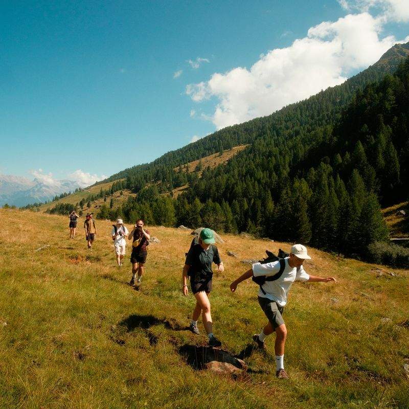 Themenwanderungen zu Natur, Kulinarik und Kultur